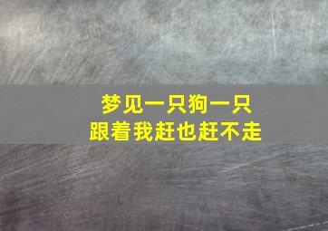 梦见一只狗一只跟着我赶也赶不走