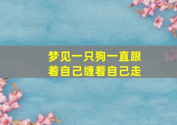 梦见一只狗一直跟着自己缠着自己走