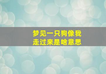 梦见一只狗像我走过来是啥意思