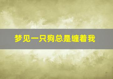 梦见一只狗总是缠着我