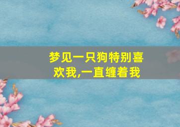 梦见一只狗特别喜欢我,一直缠着我