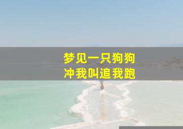 梦见一只狗狗冲我叫追我跑