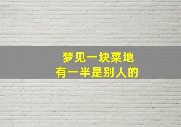 梦见一块菜地有一半是别人的