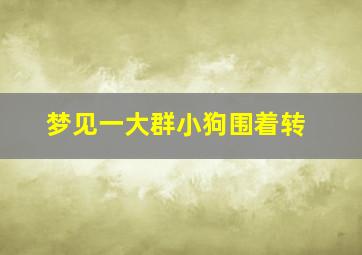 梦见一大群小狗围着转