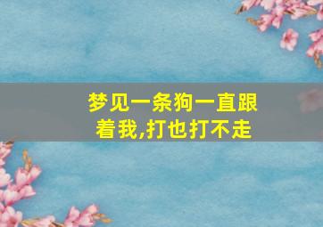 梦见一条狗一直跟着我,打也打不走