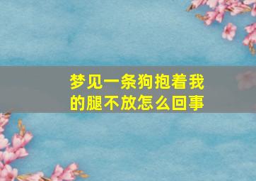 梦见一条狗抱着我的腿不放怎么回事