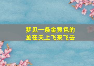 梦见一条金黄色的龙在天上飞来飞去