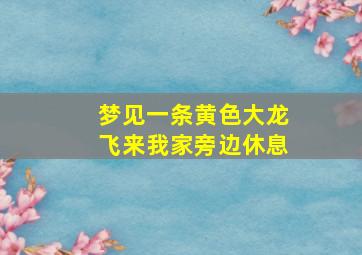 梦见一条黄色大龙飞来我家旁边休息