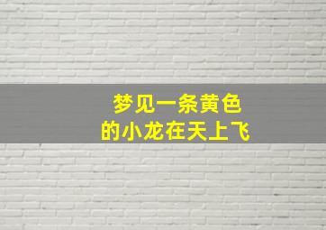 梦见一条黄色的小龙在天上飞