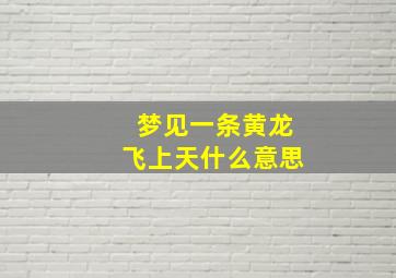 梦见一条黄龙飞上天什么意思