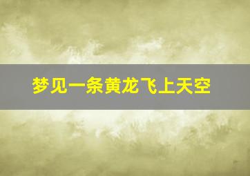 梦见一条黄龙飞上天空