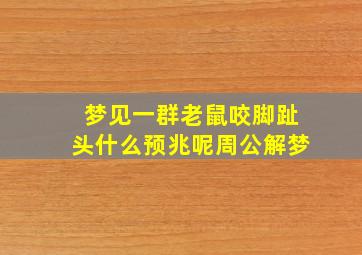 梦见一群老鼠咬脚趾头什么预兆呢周公解梦