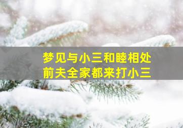 梦见与小三和睦相处前夫全家都来打小三