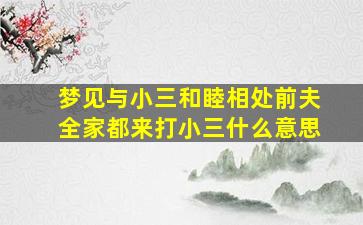 梦见与小三和睦相处前夫全家都来打小三什么意思