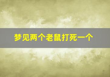 梦见两个老鼠打死一个