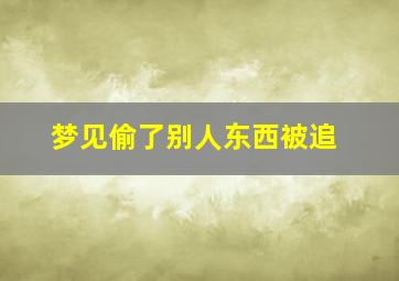 梦见偷了别人东西被追