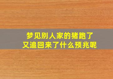 梦见别人家的猪跑了又追回来了什么预兆呢