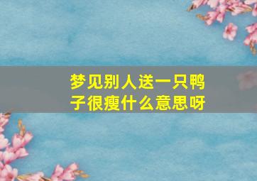 梦见别人送一只鸭子很瘦什么意思呀