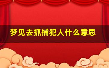 梦见去抓捕犯人什么意思