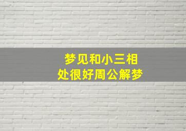 梦见和小三相处很好周公解梦