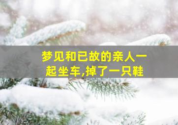 梦见和已故的亲人一起坐车,掉了一只鞋