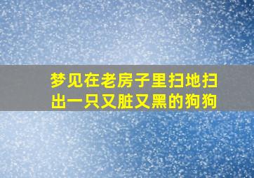 梦见在老房子里扫地扫出一只又脏又黑的狗狗