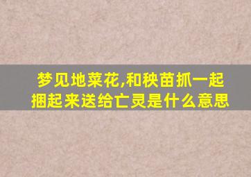 梦见地菜花,和秧苗抓一起捆起来送给亡灵是什么意思