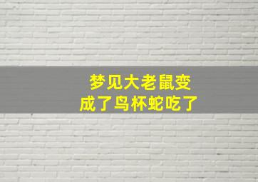 梦见大老鼠变成了鸟杯蛇吃了