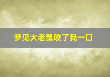 梦见大老鼠咬了我一口