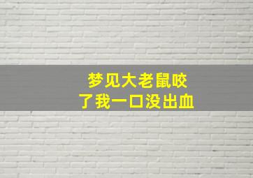 梦见大老鼠咬了我一口没出血