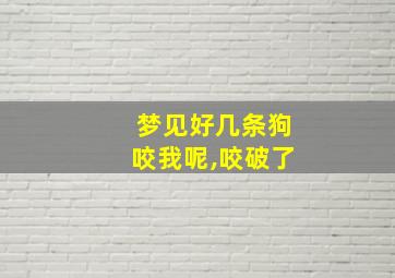 梦见好几条狗咬我呢,咬破了