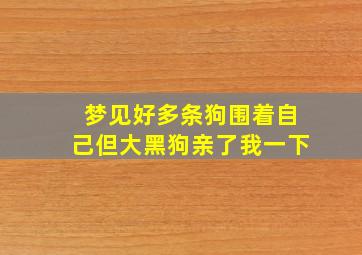 梦见好多条狗围着自己但大黑狗亲了我一下