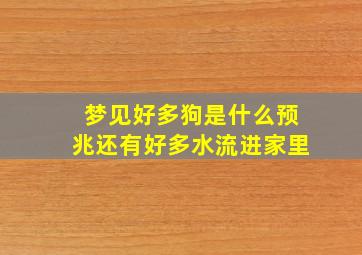 梦见好多狗是什么预兆还有好多水流进家里