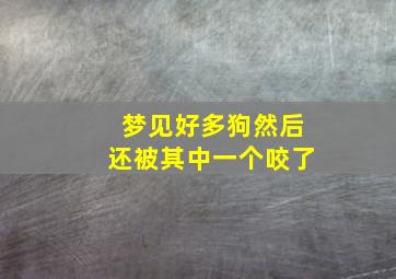 梦见好多狗然后还被其中一个咬了