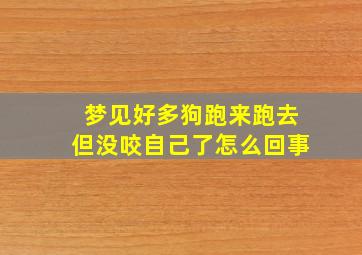 梦见好多狗跑来跑去但没咬自己了怎么回事