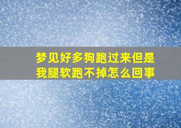 梦见好多狗跑过来但是我腿软跑不掉怎么回事