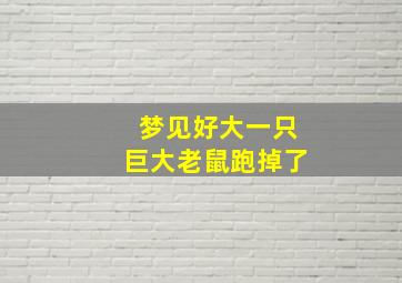 梦见好大一只巨大老鼠跑掉了