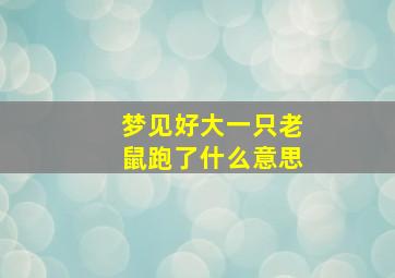 梦见好大一只老鼠跑了什么意思