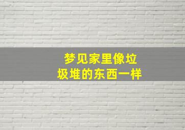 梦见家里像垃圾堆的东西一样