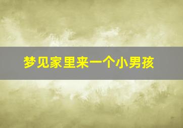 梦见家里来一个小男孩