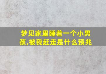 梦见家里睡着一个小男孩,被我赶走是什么预兆