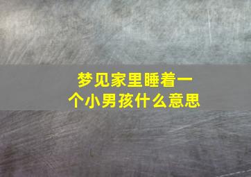 梦见家里睡着一个小男孩什么意思