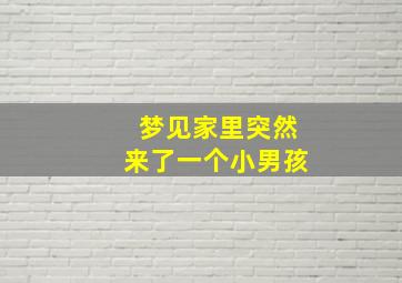 梦见家里突然来了一个小男孩