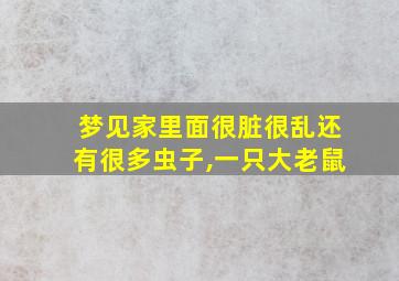 梦见家里面很脏很乱还有很多虫子,一只大老鼠