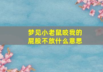 梦见小老鼠咬我的屁股不放什么意思