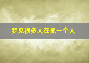 梦见很多人在抓一个人