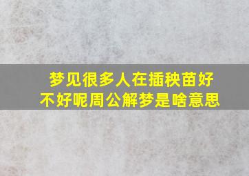 梦见很多人在插秧苗好不好呢周公解梦是啥意思