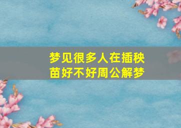 梦见很多人在插秧苗好不好周公解梦