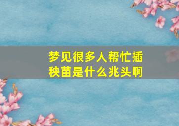 梦见很多人帮忙插秧苗是什么兆头啊