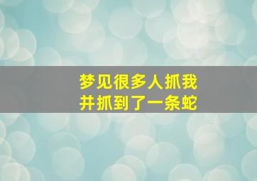 梦见很多人抓我并抓到了一条蛇